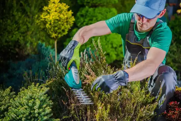 landscaping services Moberly